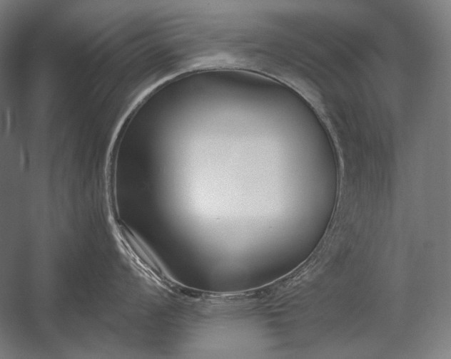 X0000053001008200507221242