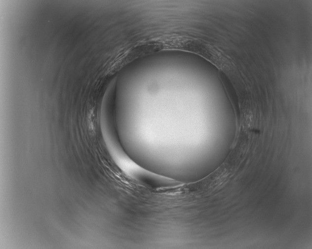 X0000053001010200507221241