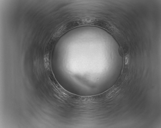 X0000053001011200507221241