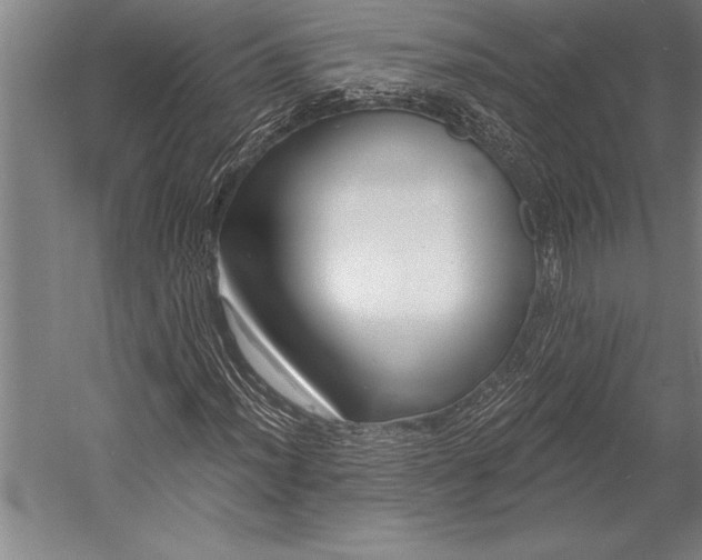 X0000053001012200507221241