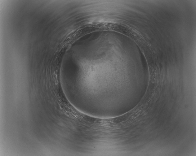 X0000053001013200507221241