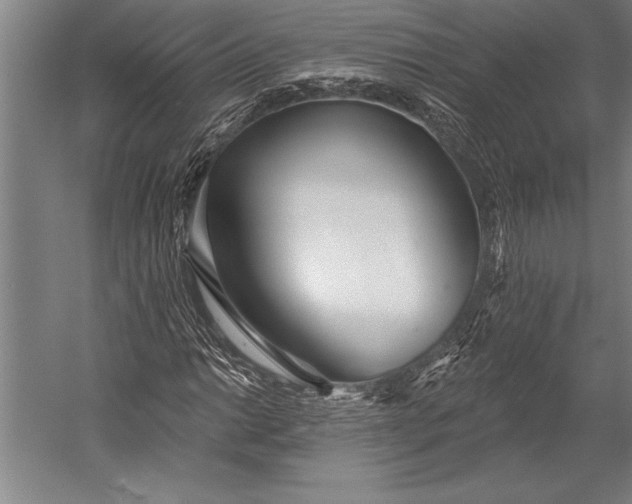 X0000053001014200507221241