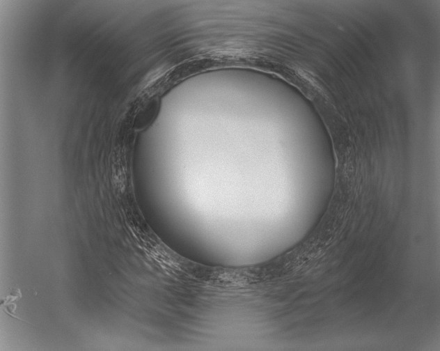 X0000053001015200507221241