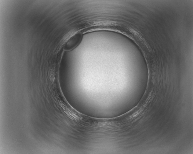 X0000053001017200507221241