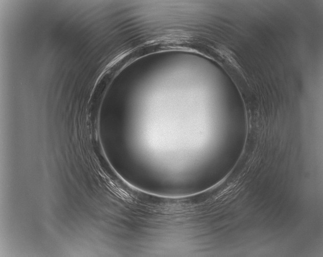 X0000053001018200507221241