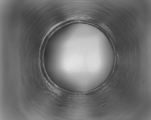 X0000053001020200507221241