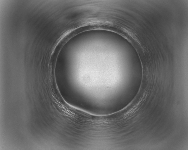 X0000053001021200507221241