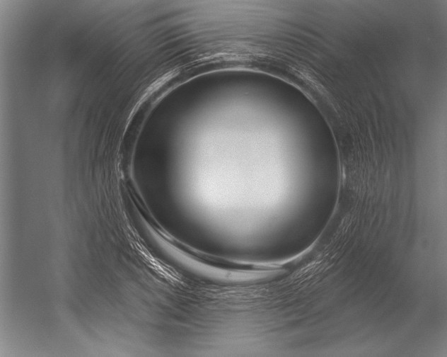 X0000053001026200507221241