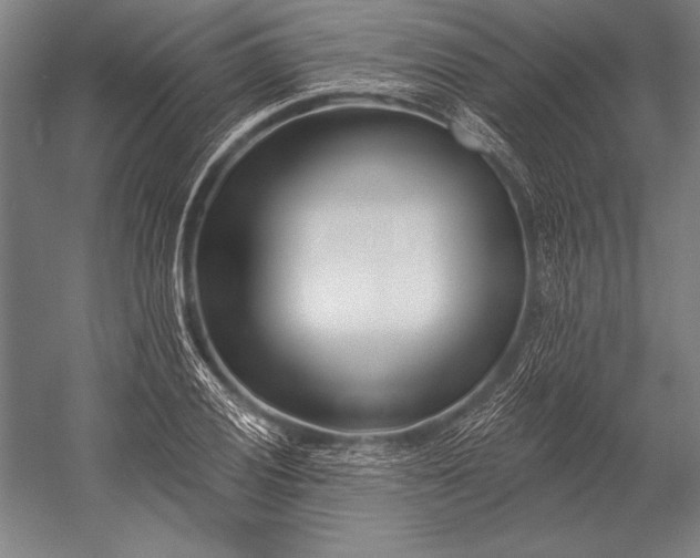 X0000053001028200507221241