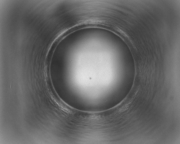 X0000053001029200507221241