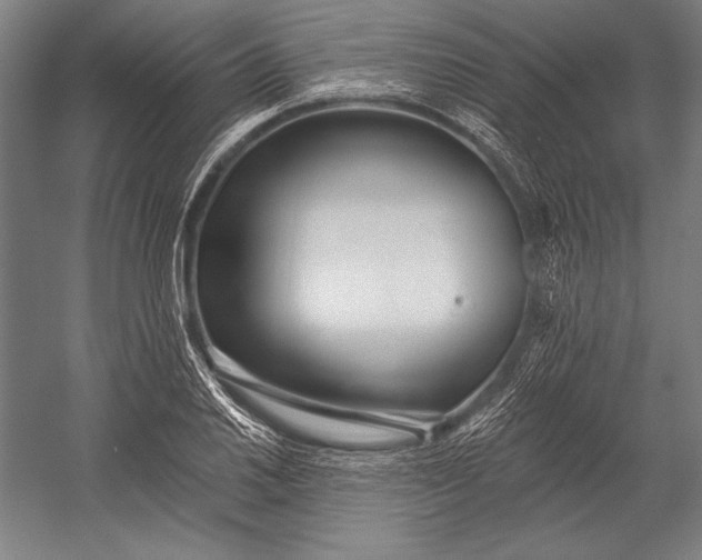 X0000053001030200507221241