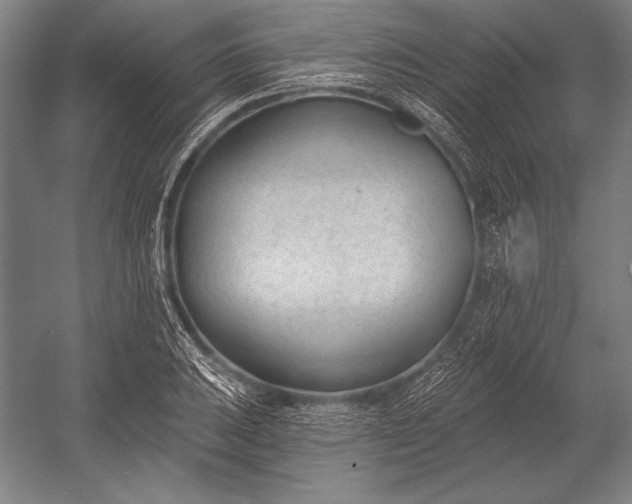 X0000053001031200507221241