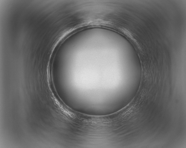 X0000053001032200507221241