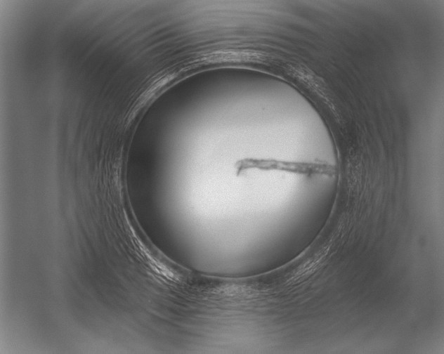 X0000053001033200507221242