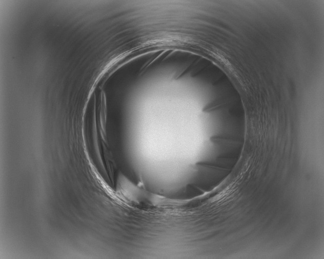 X0000053001034200507221242