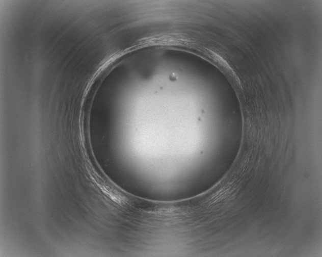 X0000053001035200507221242