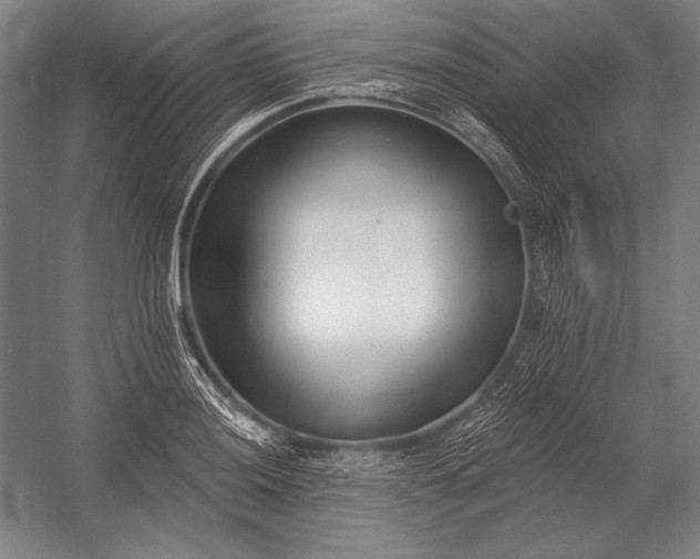 X0000053001036200507221242