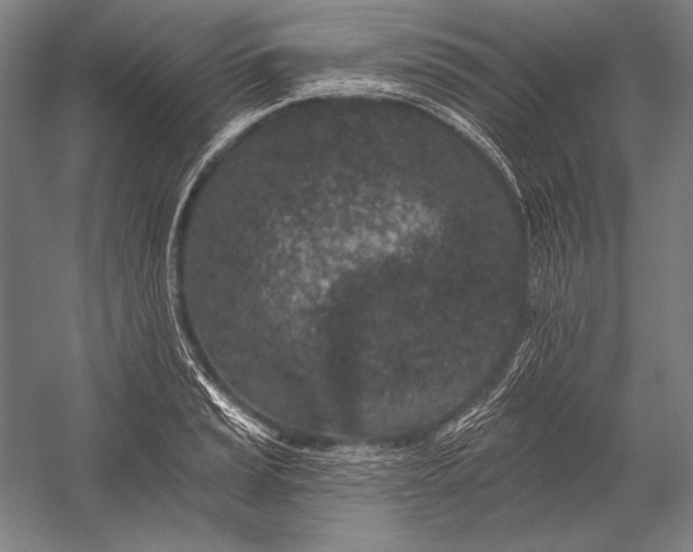 X0000053001037200507221242