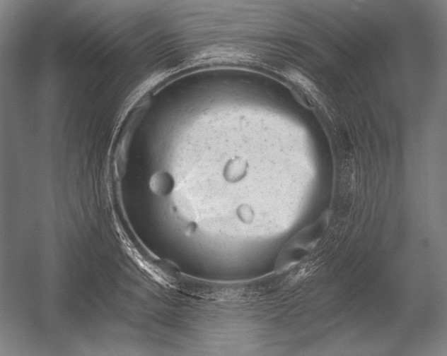 X0000053001038200507221242