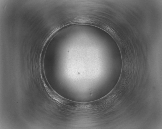 X0000053001039200507221242