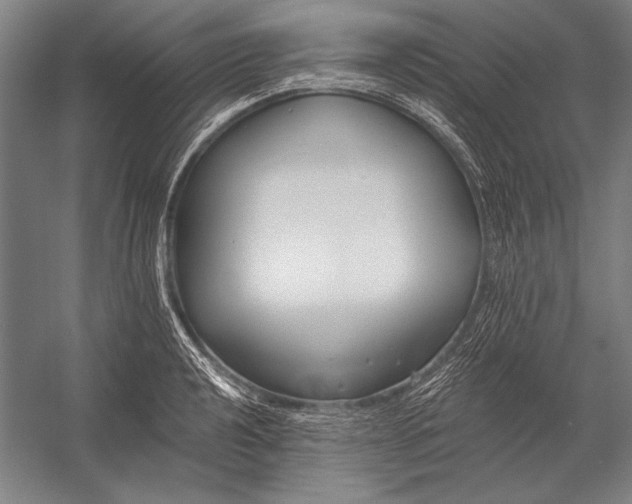 X0000053001040200507221242