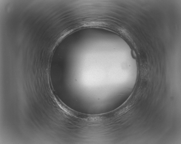 X0000053001041200507221242