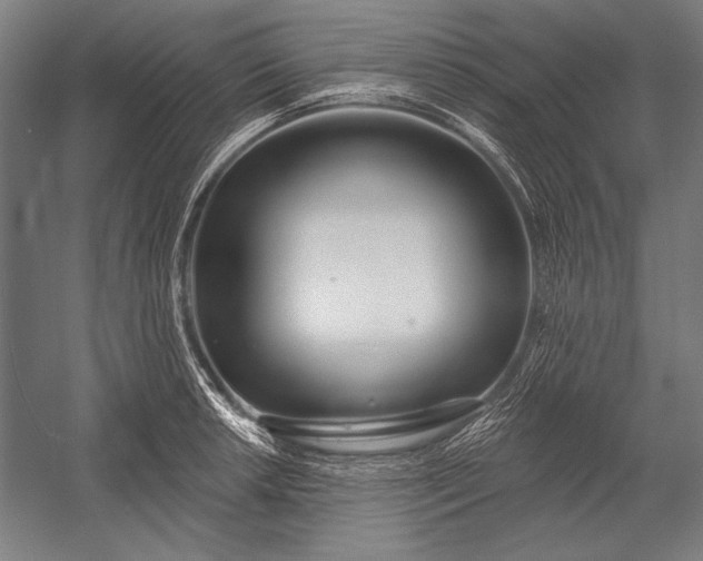 X0000053001042200507221242