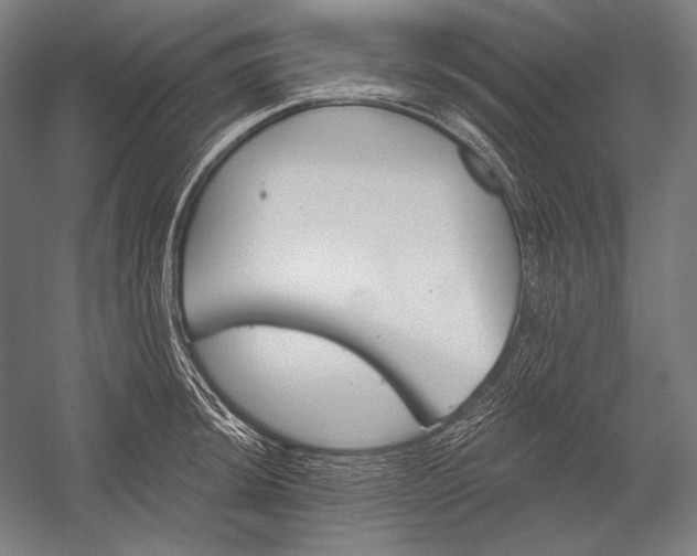 X0000053001044200507221242