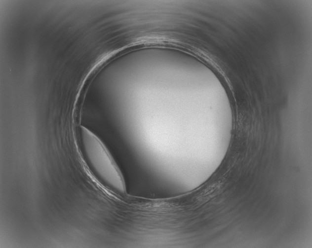 X0000053001045200507221242