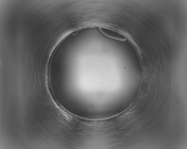 X0000053001048200507221242