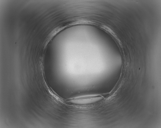 X0000053001049200507221242