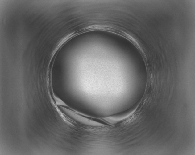 X0000053001050200507221242