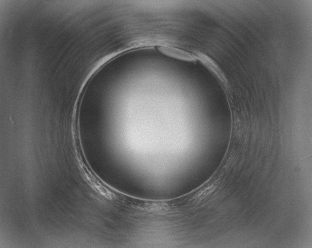 X0000053001052200507221242