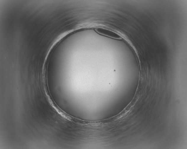 X0000053001053200507221242