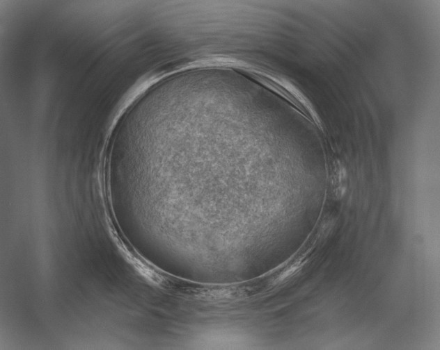 X0000053001054200507221242