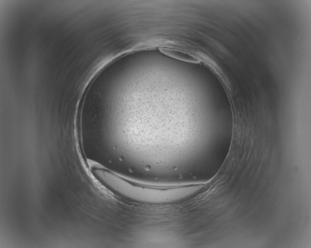 X0000053001055200507221242