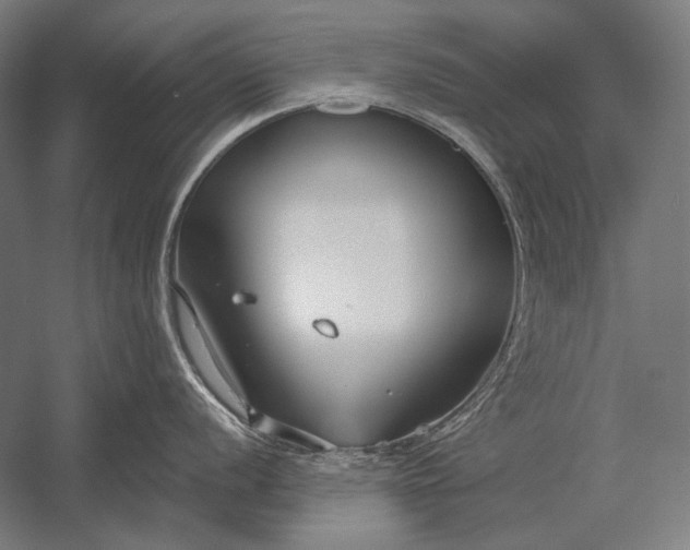 X0000053001056200507221242