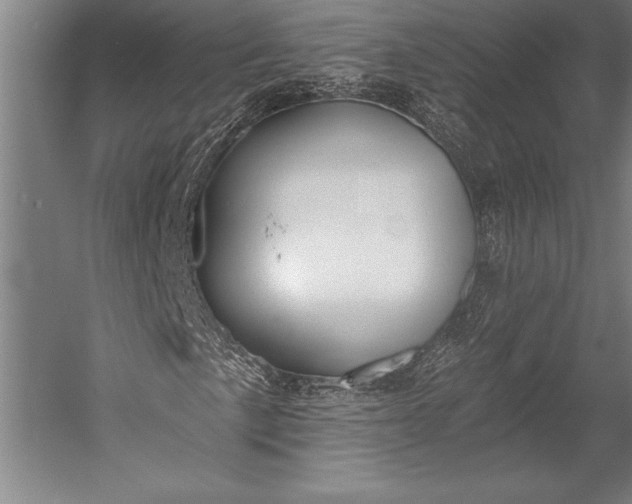 X0000053001057200507221241