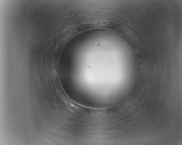 X0000053001058200507221241