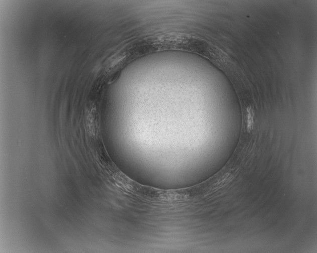 X0000053001059200507221241