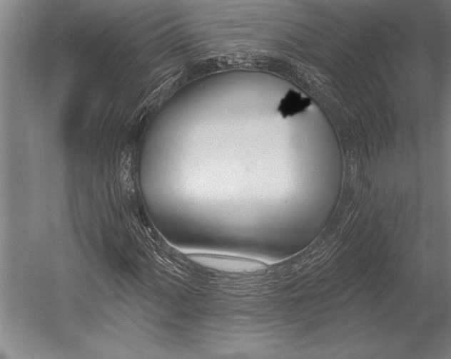 X0000053001060200507221241