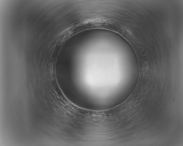 X0000053001062200507221241