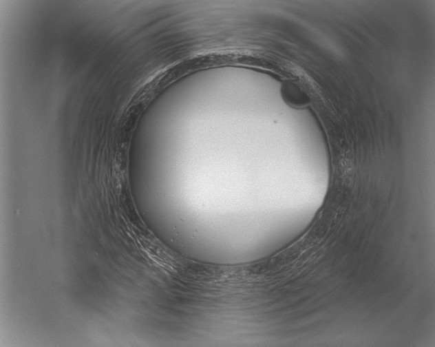 X0000053001064200507221241