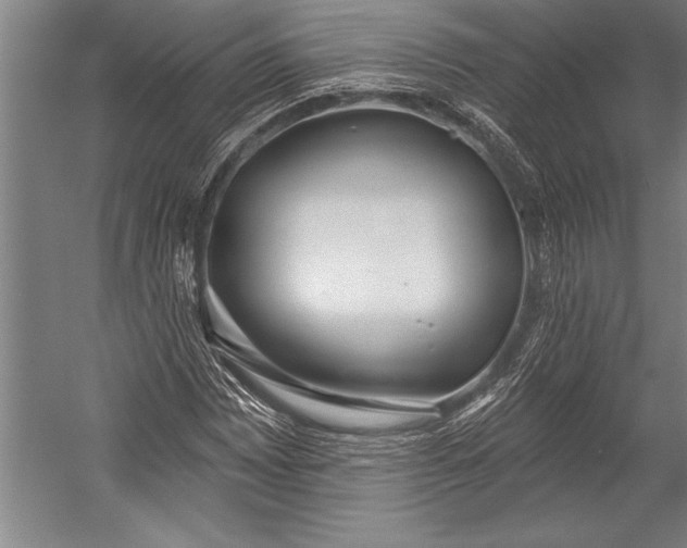 X0000053001065200507221241