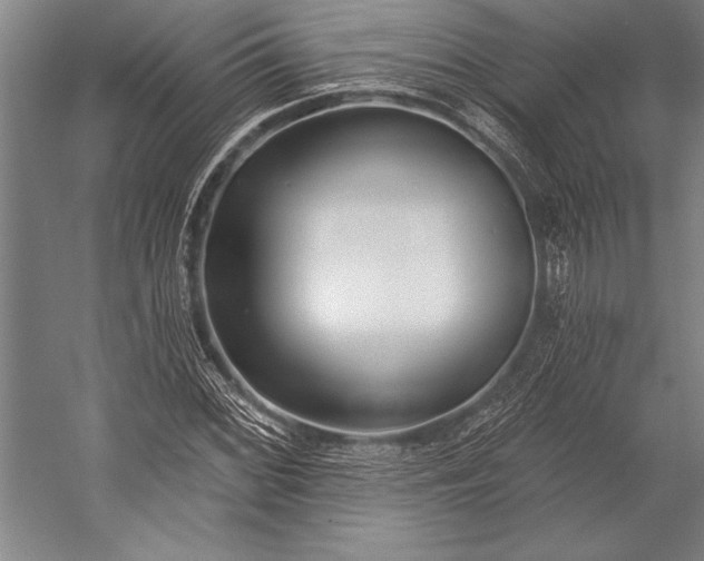 X0000053001068200507221241