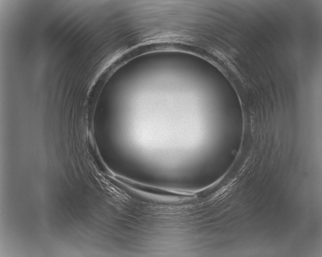 X0000053001069200507221241