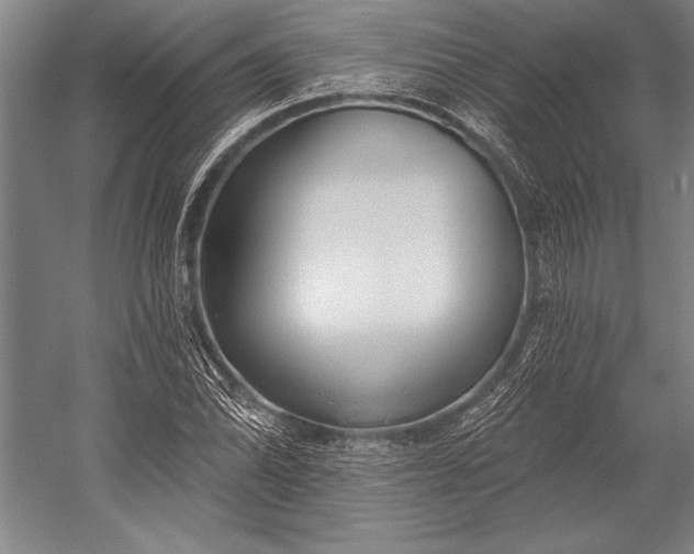 X0000053001070200507221241