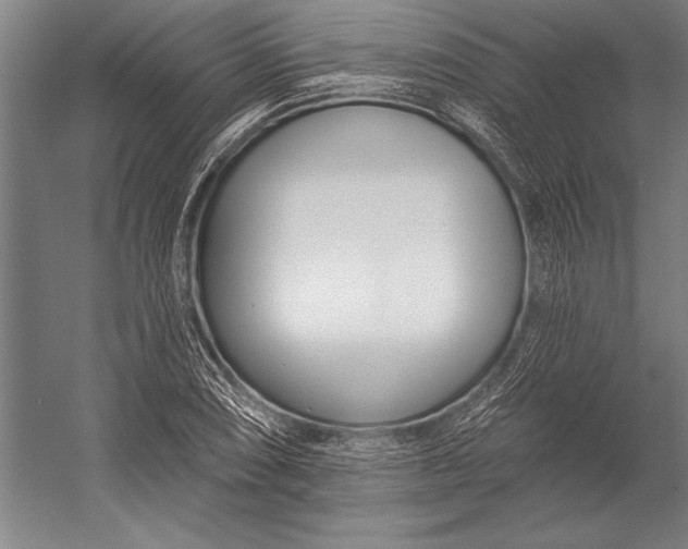 X0000053001074200507221241