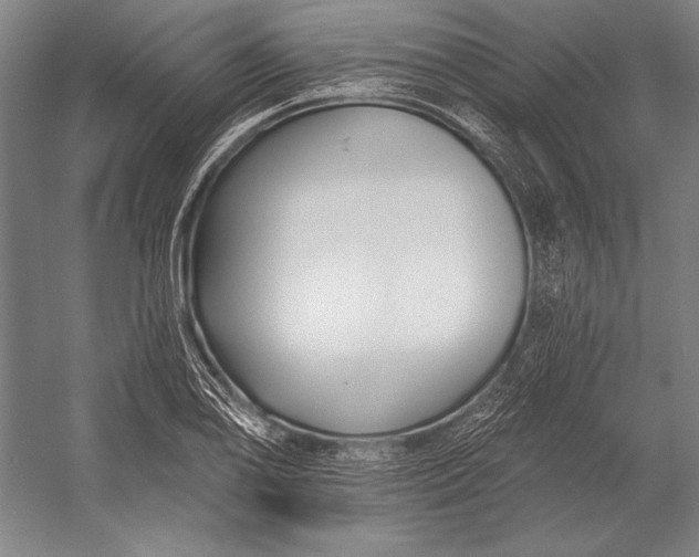 X0000053001078200507221241