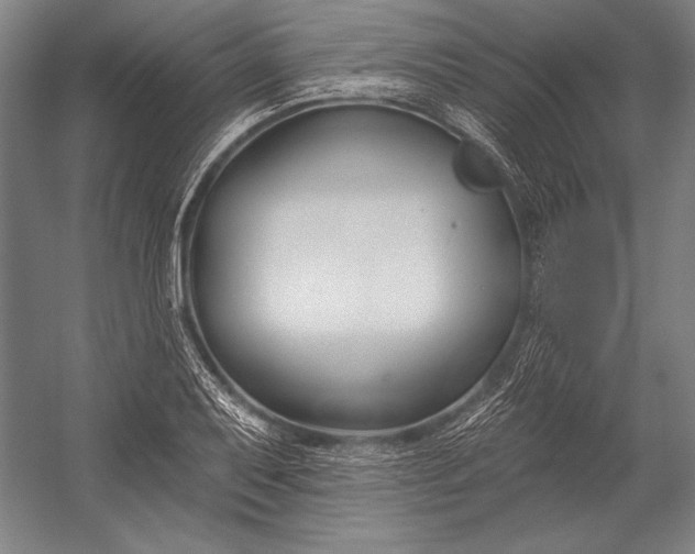 X0000053001079200507221241